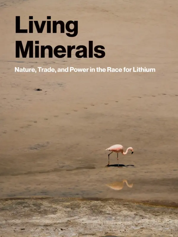 Living Minerals Book Cover