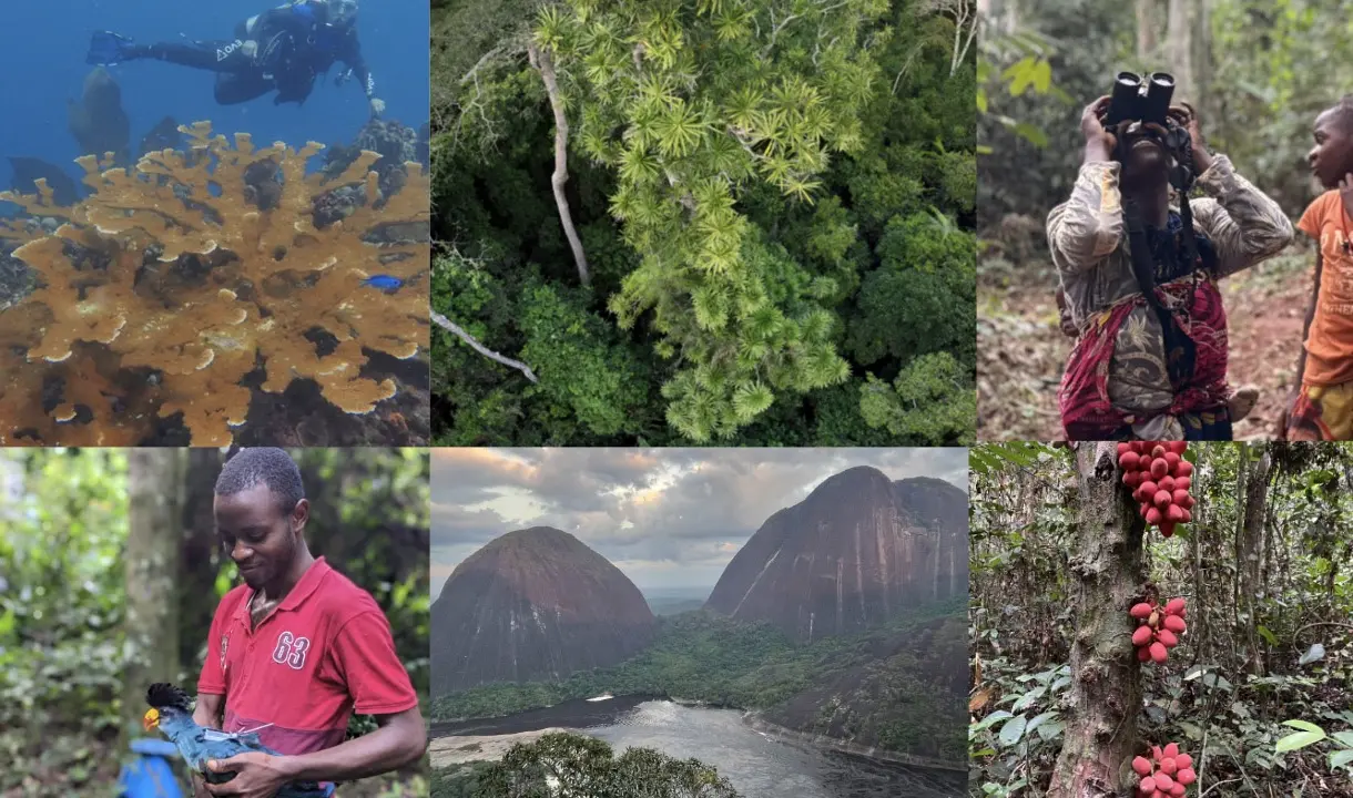 Collage featuring Monica Medina, Felipe Zapata, Elsa Ordway, Antoine Tekam, and Virginia Zaunbrecher.