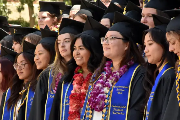 students in graduation clothes