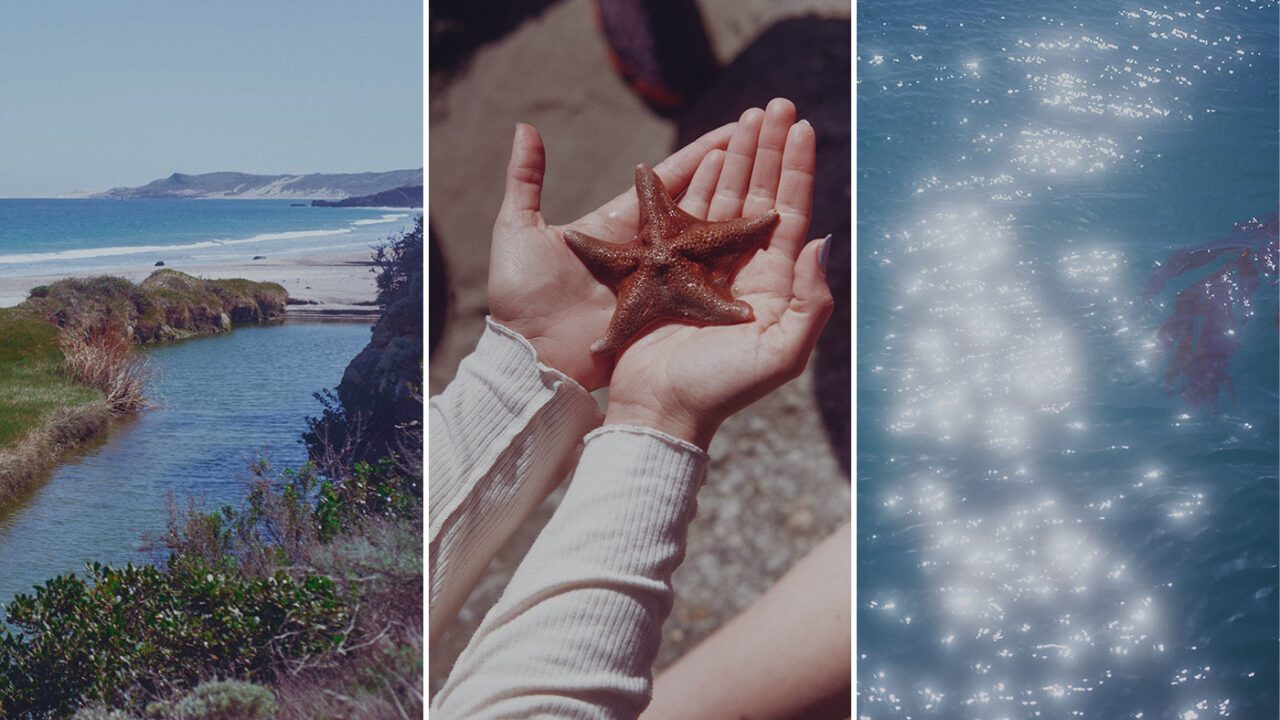 California’s Channel Islands are a unique ecosystem, home to hundreds of plants and animals found nowhere else. Anatoli Ulyanov (3)