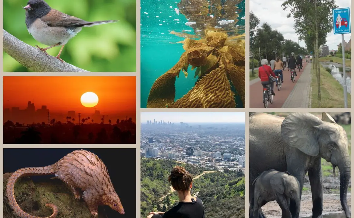 Earth Month collage of images