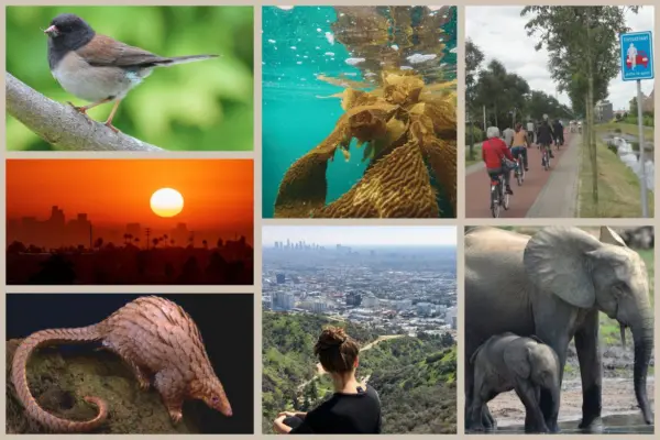 Earth Month collage of images