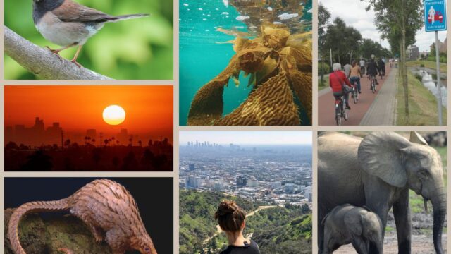 Earth Month collage of images