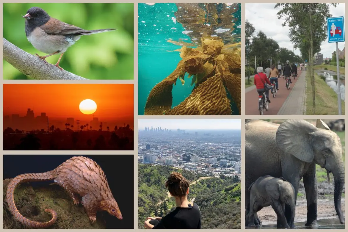 Earth Month collage of images