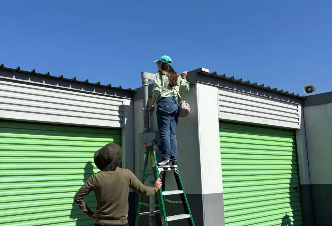 Student standing on ladder to see solar panels on storage facility.