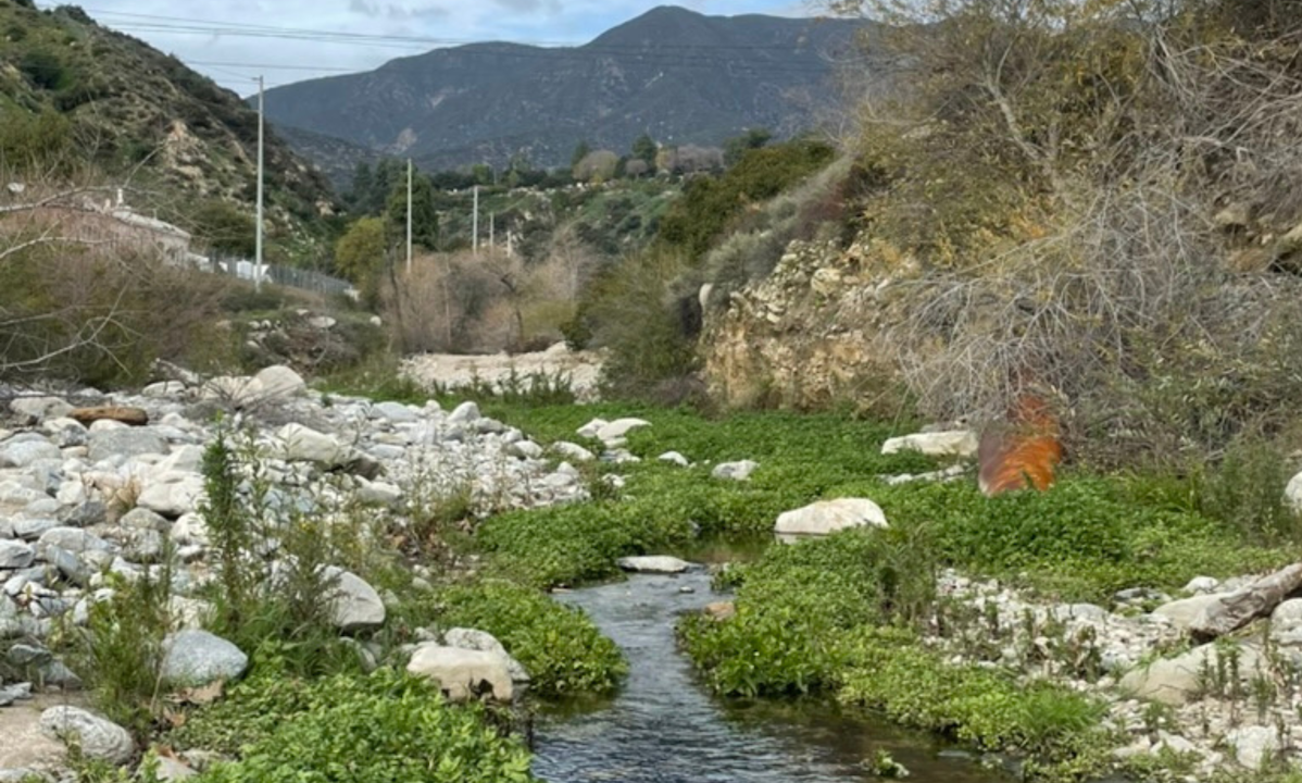 Hills and a stream with rocks and trees either side.