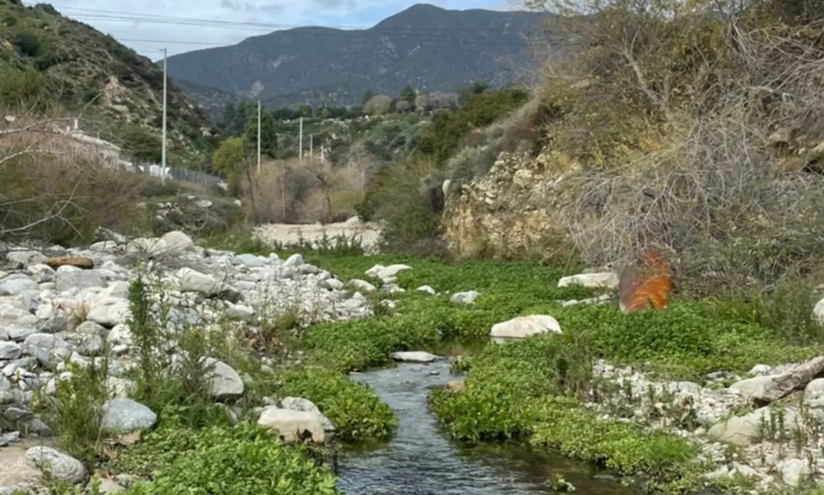 Hills and a stream with rocks and trees either side.
