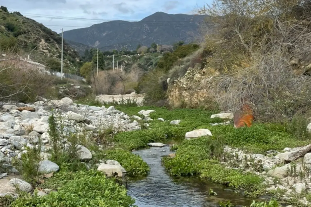 Hills and a stream with rocks and trees either side.