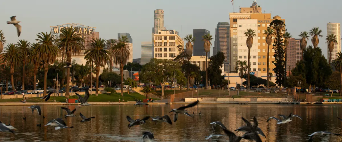 landscape image of Westlake Los Angeles with birds flying across the water