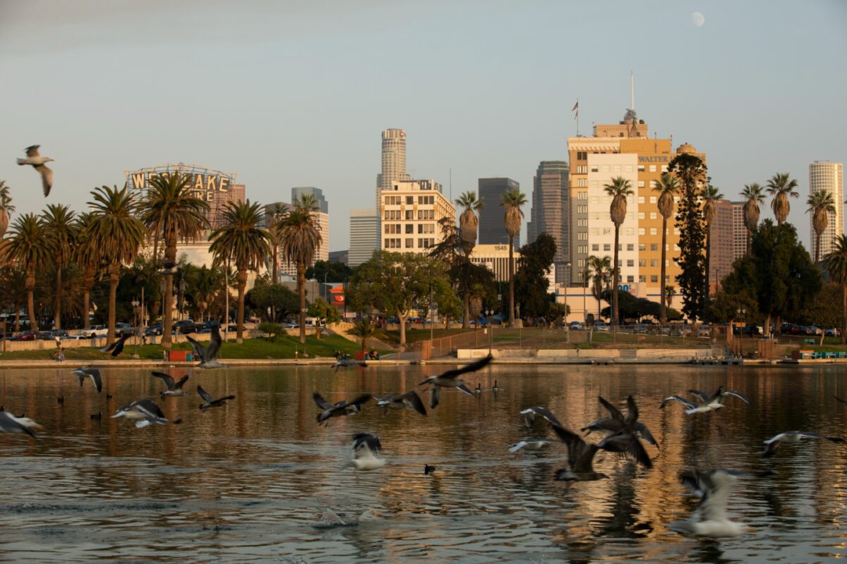 landscape image of Westlake Los Angeles with birds flying across the water
