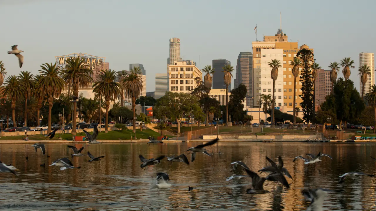 landscape image of Westlake Los Angeles with birds flying across the water
