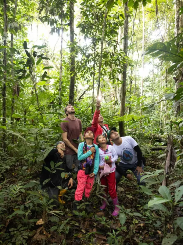 Expedition team surveying a tree during the Cotudo Festival Expedition. Photo: Callie Broaddus.