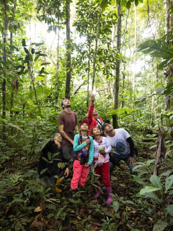 Expedition team surveying a tree during the Cotudo Festival Expedition. Photo: Callie Broaddus.