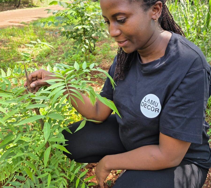 Doris plants alternative timber forests along Kenya’s coast to reduce pressure on native mangrove forests and support their restoration. 