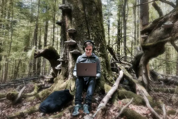 A person works on a laptop while sitting against the mossy base of a large tree in an old-growth forest, wearing headphones to listen.