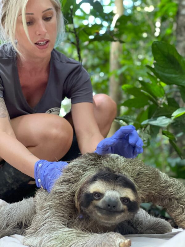 Rebecca Cliffe with sloth