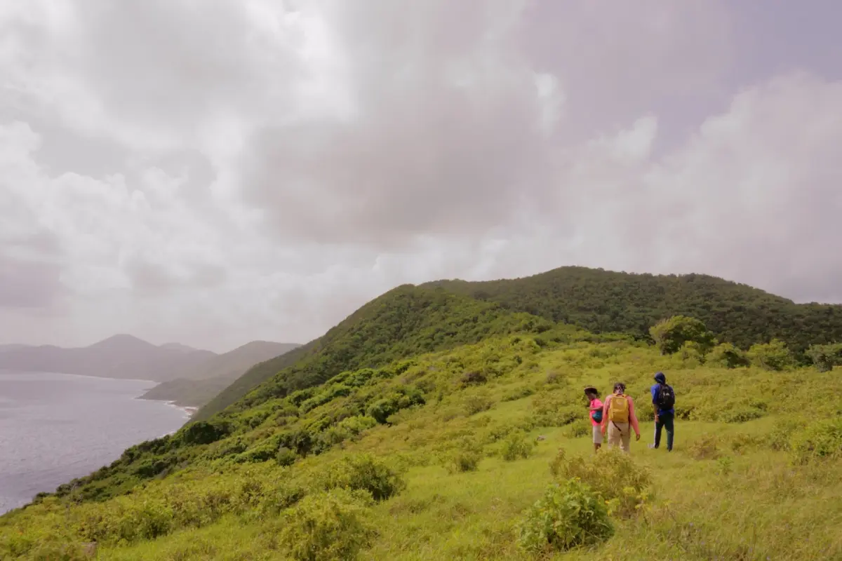 Three people hiking