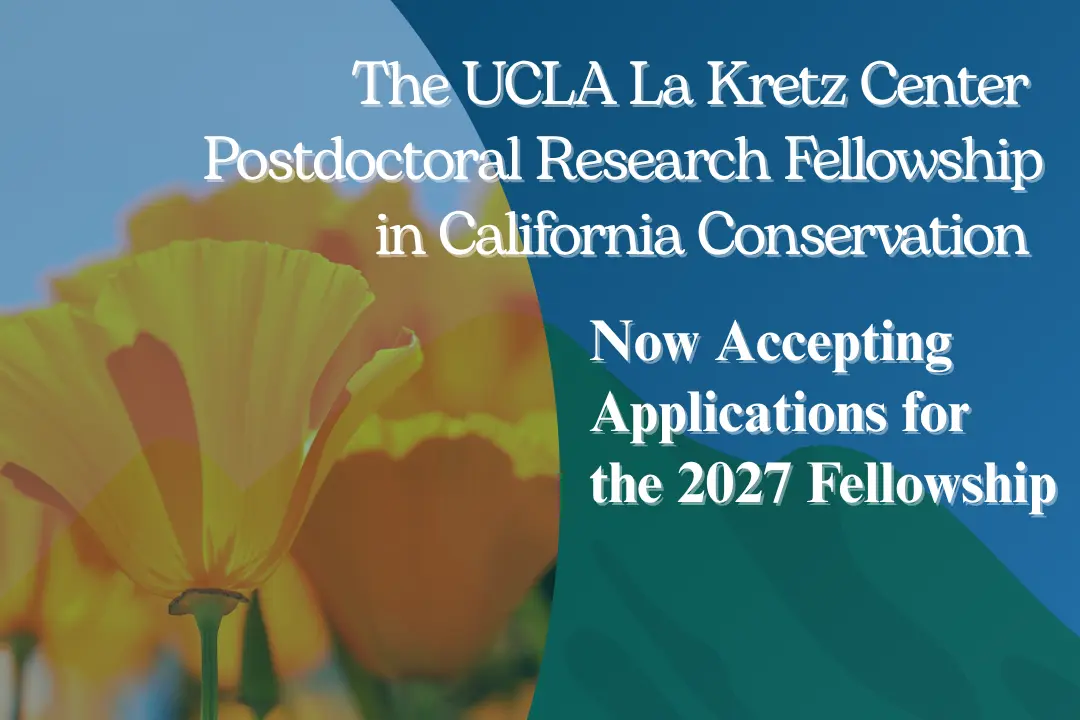 California poppies in promotion for the UCLA La Kretz Center's 2027 postdoctoral research fellowship