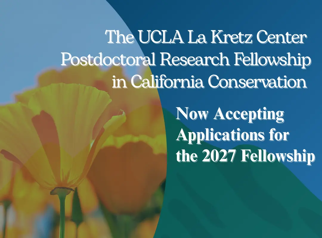 California poppies in promotion for the UCLA La Kretz Center's 2027 postdoctoral research fellowship