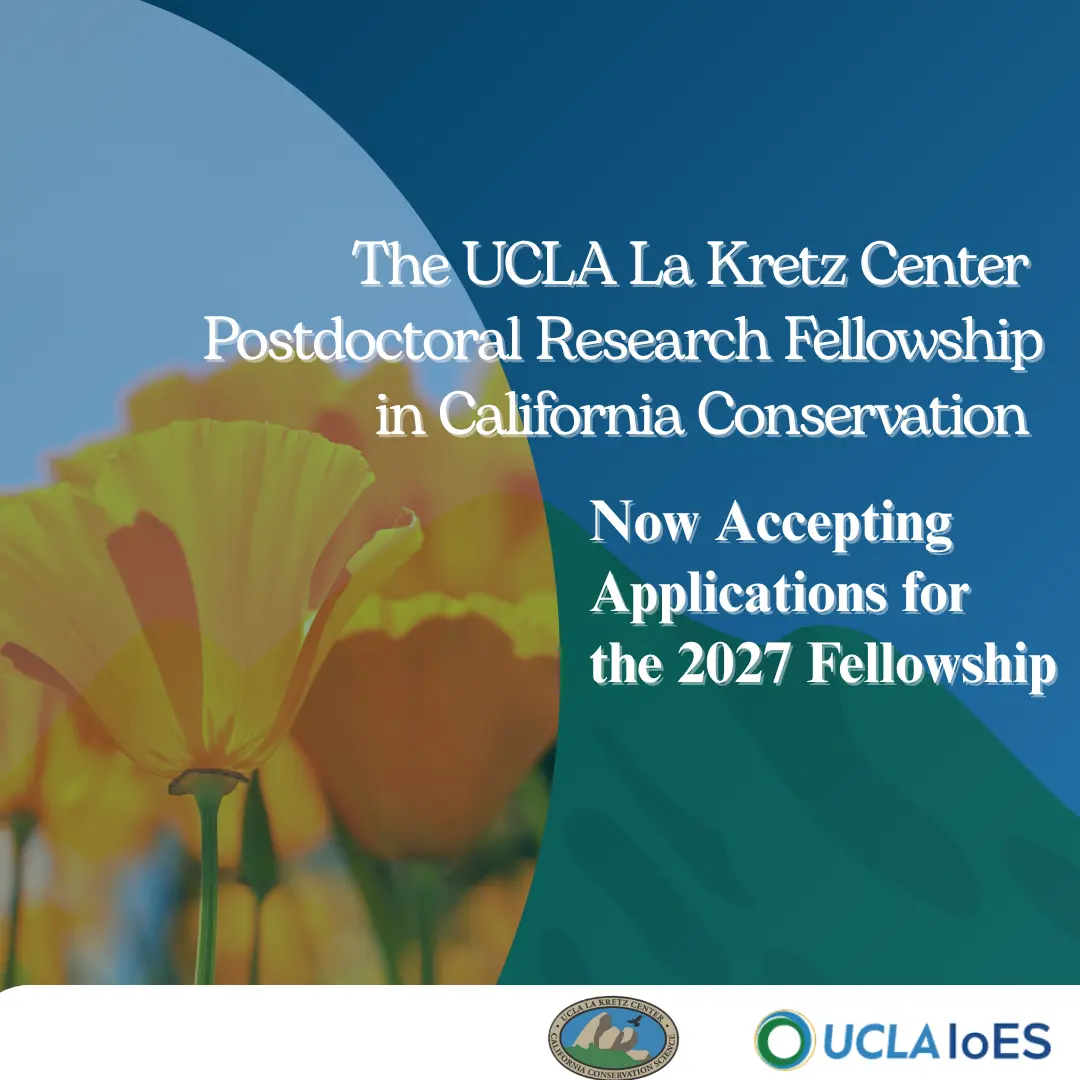 California poppies in promotion for the UCLA La Kretz Center's 2027 postdoctoral research fellowship