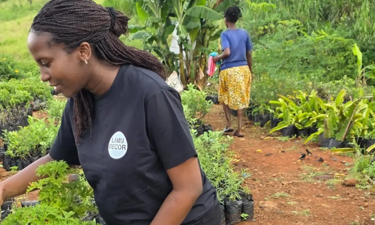 Doris working with women to grow alternative fast growing timber that helps reduce pressure on mangrove forests