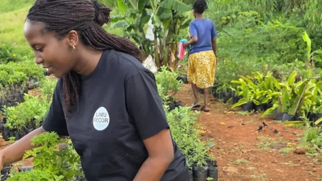 Doris working with women to grow alternative fast growing timber that helps reduce pressure on mangrove forests