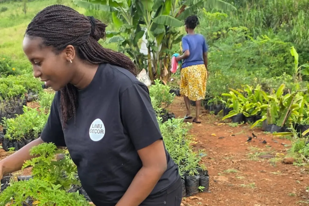 Doris working with women to grow alternative fast growing timber that helps reduce pressure on mangrove forests
