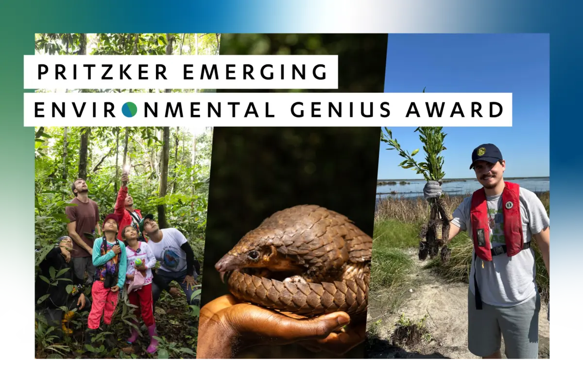Banner for the Pritzker Emerging Environmental Genius Award featuring a group exploring a rainforest, a pangolin resting in a person’s hands, and a conservation worker holding young plants in a coastal wetland.