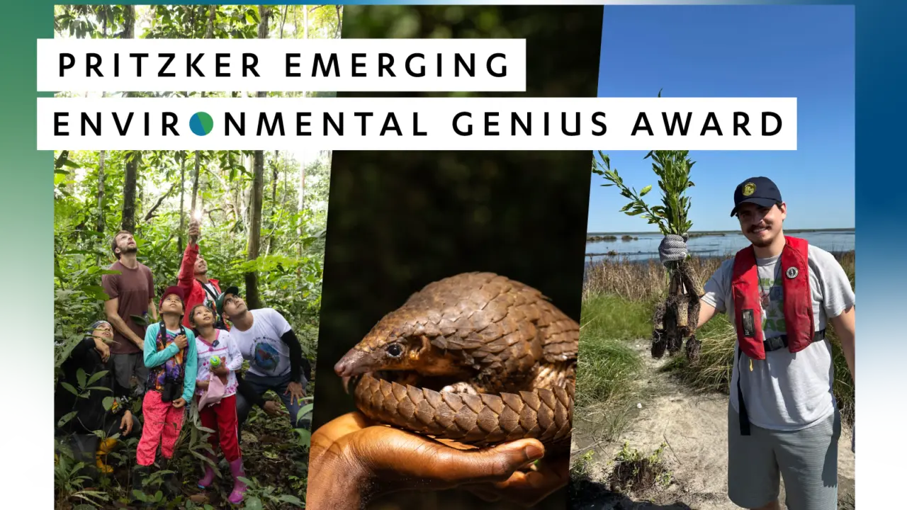 Banner for the Pritzker Emerging Environmental Genius Award featuring a group exploring a rainforest, a pangolin resting in a person’s hands, and a conservation worker holding young plants in a coastal wetland.