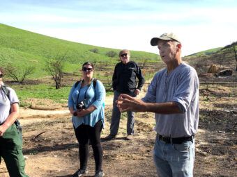 ucla researchers studying how the woolsey fire affects plant and animal recovery