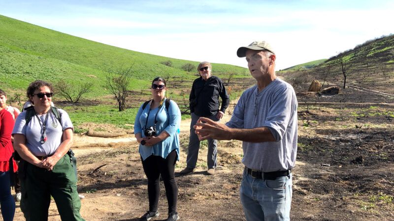 ucla researchers studying how the woolsey fire affects plant and animal recovery