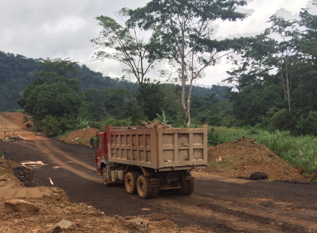 furniture from china contributes to deforestation in central africa