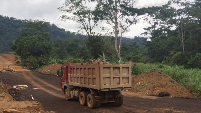 furniture from china contributes to deforestation in central africa