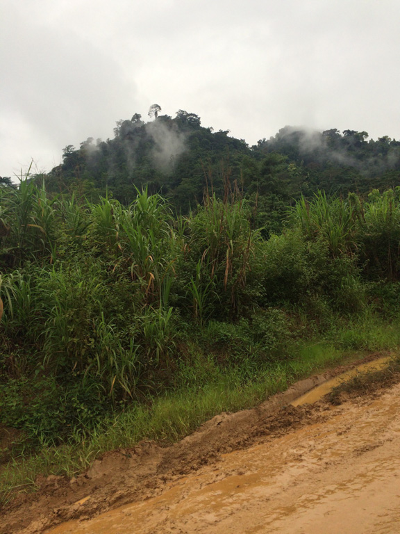 study links us demand for chinese furniture to deforestation in africa
