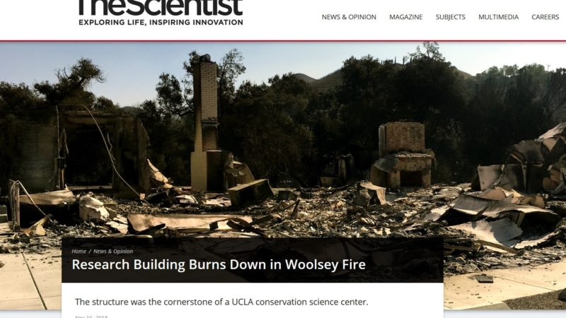 research building burns down in the woolsey fire