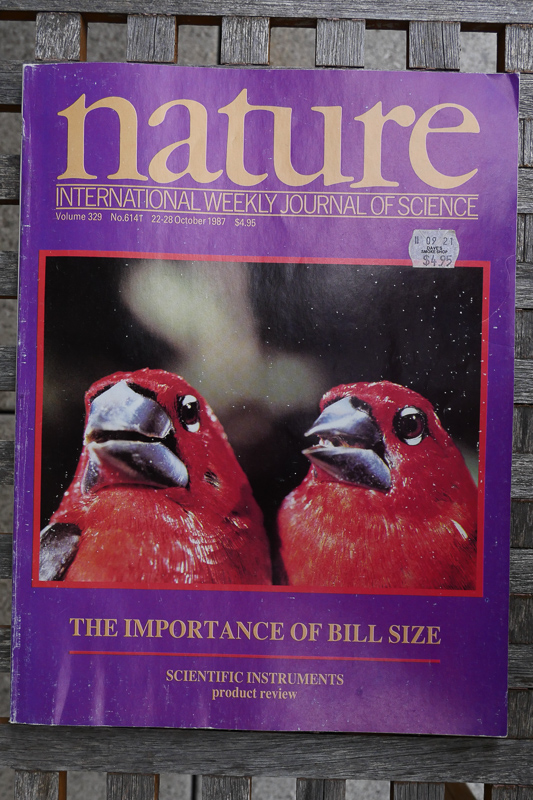 October 1987 cover of Nature, showing different beak sizes in seedcrackers. | Image by Nicki Aviel/UCLA. 