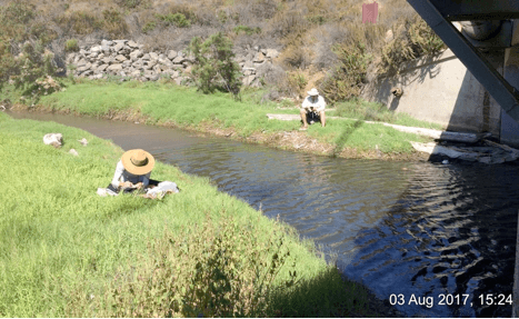 post-fire impact on biological community of coastal lagoons in southern california