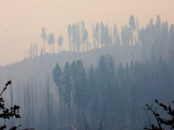 california today: ferguson fire forces largest closing of yosemite in decades