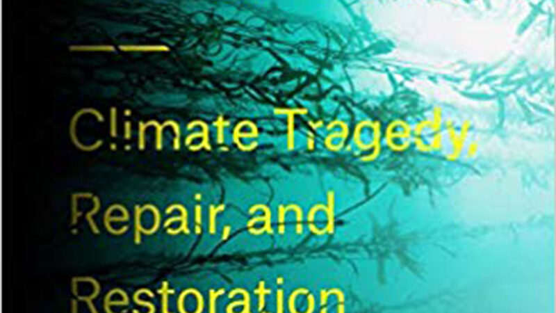 holly jean buck in mit technology review: the desperate race to cool the ocean before it’s too late