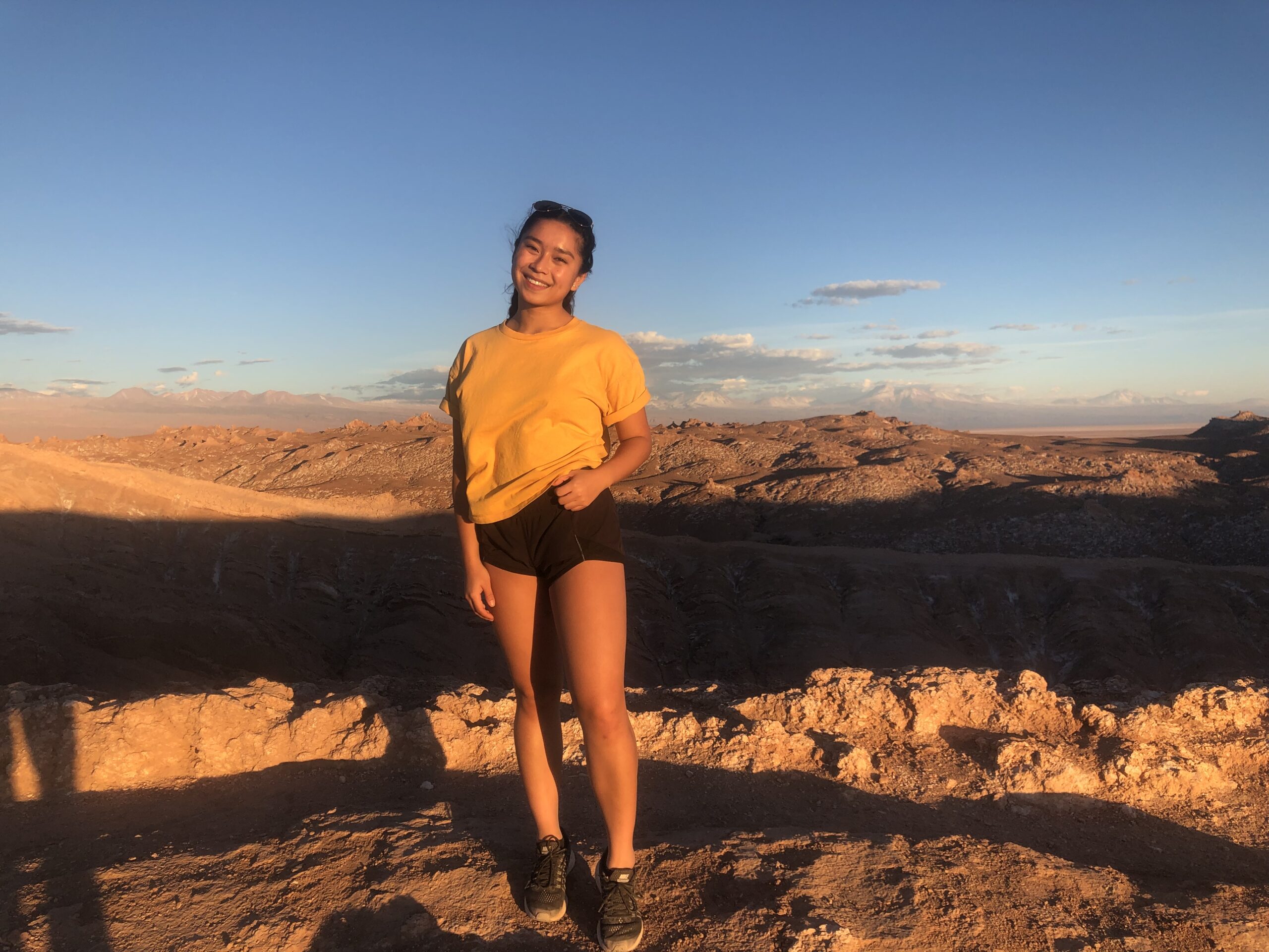anh-vy pham