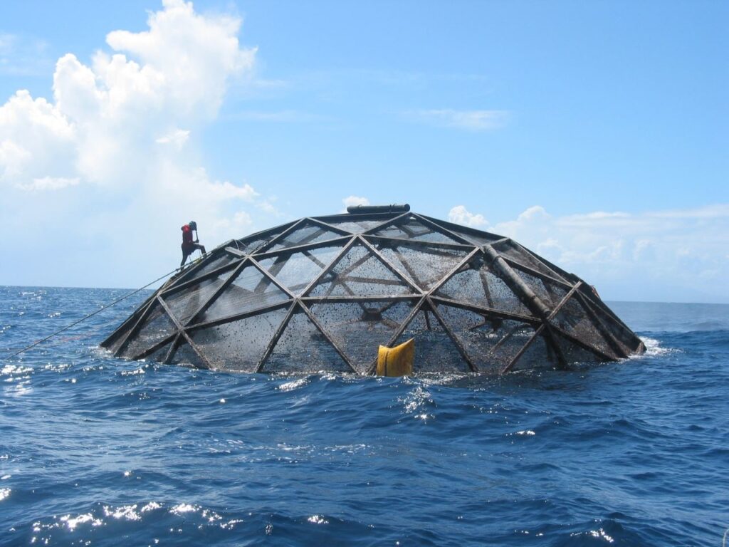 will ocean seafood farming sink or swim? ucla study evaluates its potential