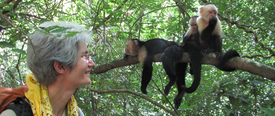 lomas barbudal monkey project