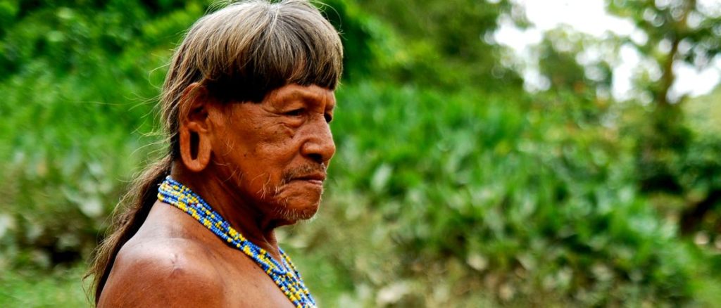 yasuni man film screening