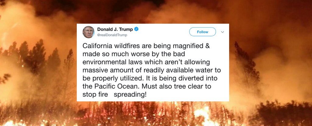 we asked an expert about trump’s baffling wildfire tweets. here’s what they had to say