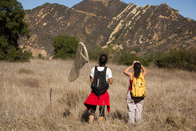bruin naturalists club