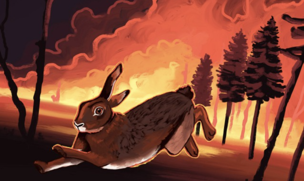 campus queries: what is the impact of wildfires on wildlife in california?
