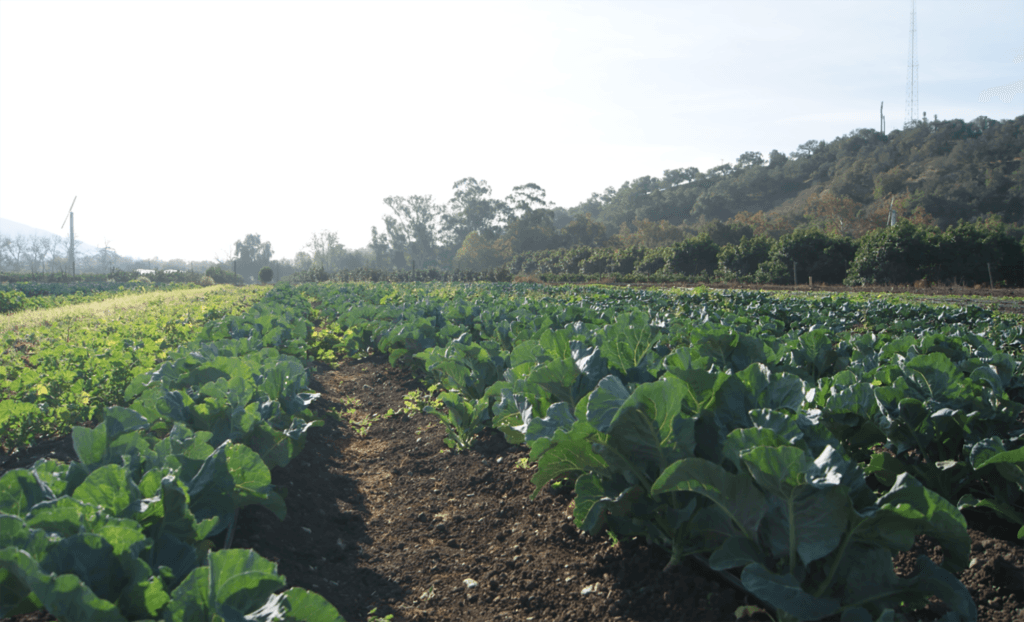 alex hall and neil berg, cal poly adapts to climate change, national report announces impacts