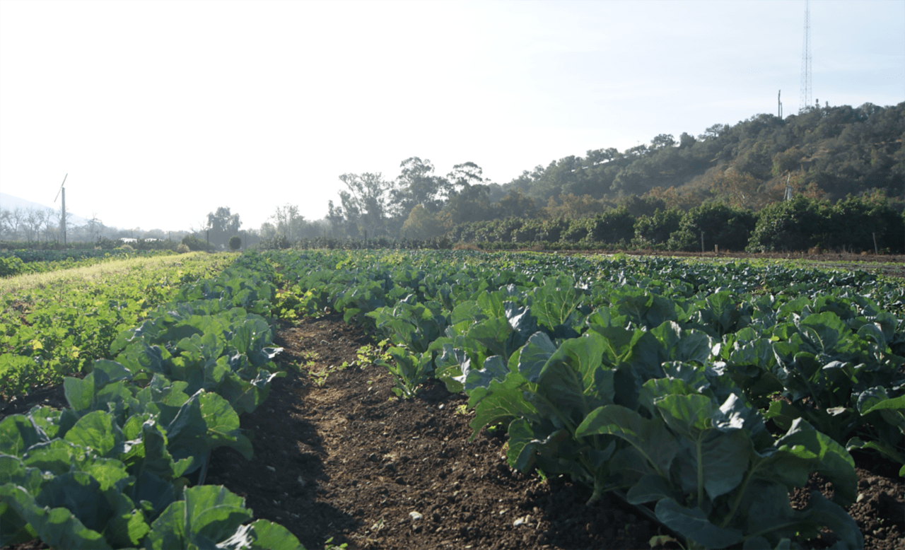 alex hall and neil berg, cal poly adapts to climate change, national report announces impacts