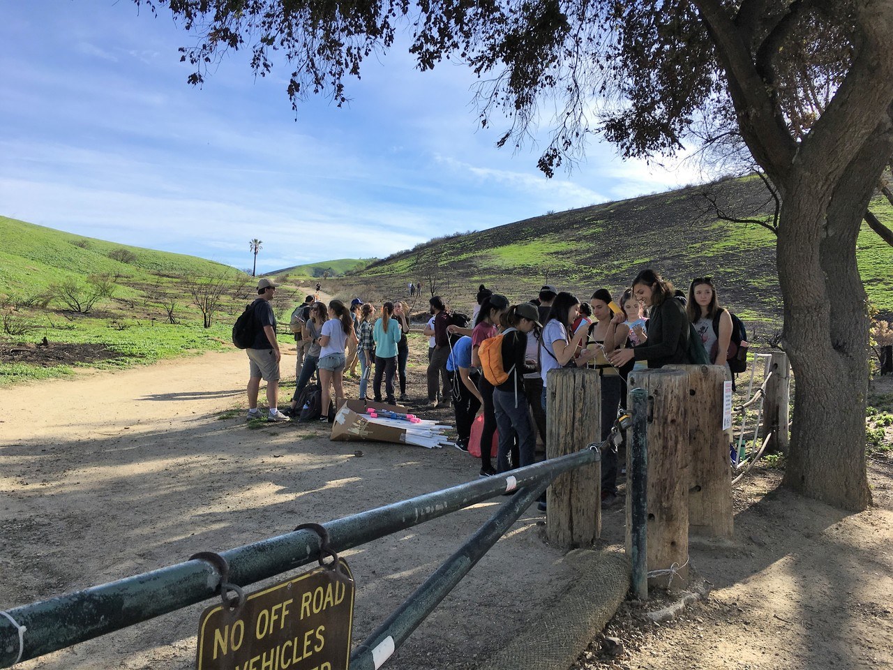 ecological and environmental impacts of the woolsey fire