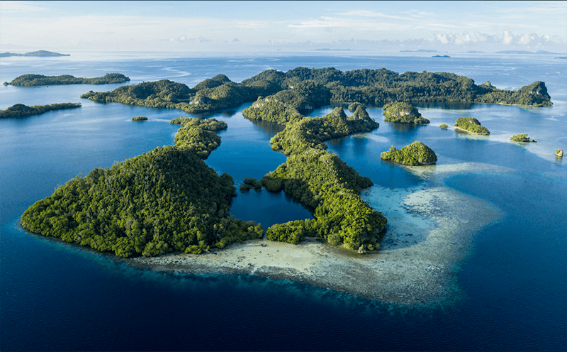 paul barber: what is the coral triangle?